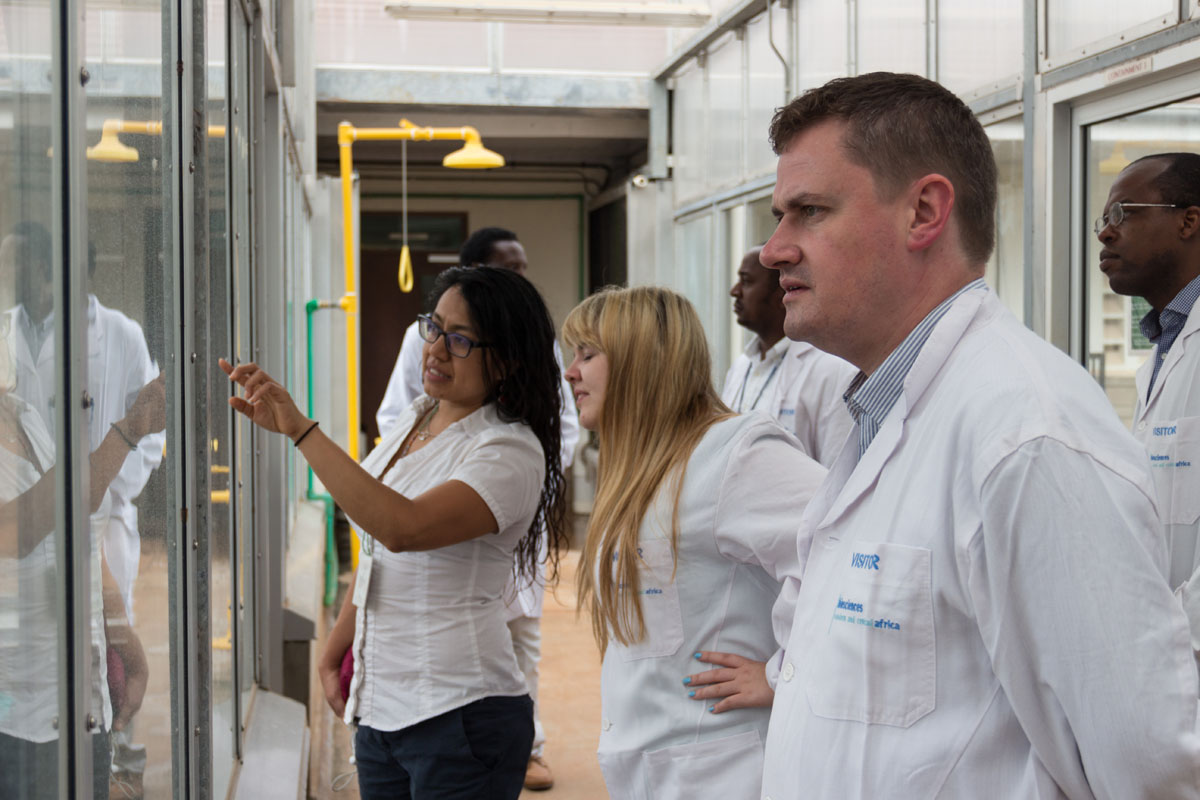 BecA whitefly greenhouses