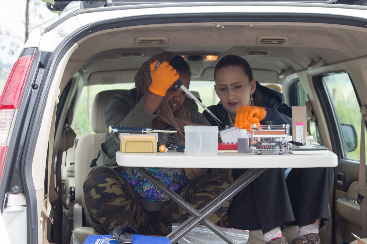 Addis and Diane using the mobile lab to extract and prepare the rust DNA for libraries for the MinION